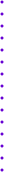 divider_02